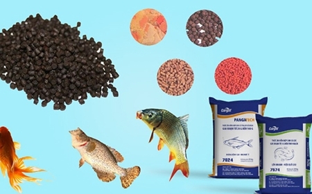 Bao bì PE đựng thức ăn thủy sản – Chống ẩm, giá cạnh tranh